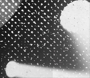 SUM160_MUSIQUE_p3